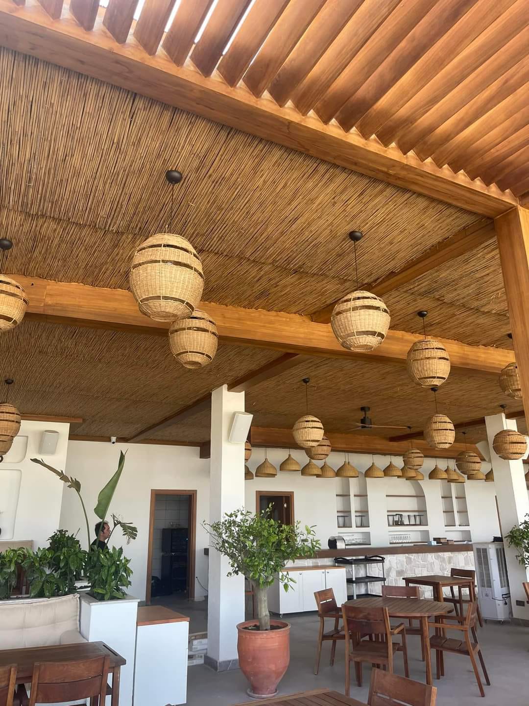 Kamış Duvar Kaplaması